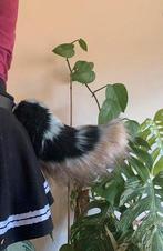 Fursuit Staart, Kiba creations, Nieuw, Kibacreations@outlook.com, Ophalen of Verzenden