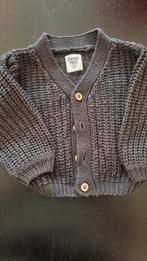 Sweet petit by Prénatal grijs vestje, maat 62, Ophalen of Verzenden, Zo goed als nieuw, Prenatal, Truitje of Vestje