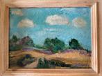 Landschap bij Beilen, Roel Reijntjes 1978. Drenthe., Antiek en Kunst, Ophalen of Verzenden