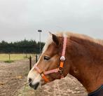 Wortelhalster+Oranje halstertouw, Dieren en Toebehoren, Paarden en Pony's | Hoofdstellen en Tuigage, Ophalen of Verzenden, Zo goed als nieuw