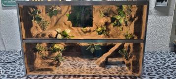 Terrarium 66x41x41 beschikbaar voor biedingen