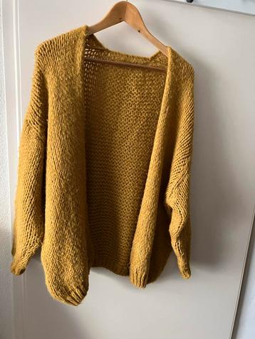 Mooi Geel Vest - Openvallend beschikbaar voor biedingen