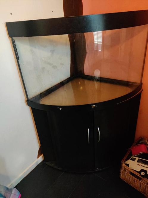Aquarium/hamster bak, Dieren en Toebehoren, Vissen | Aquariumvissen, Vis