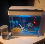 Aquarium 50 liter, Ophalen of Verzenden, Zo goed als nieuw, Leeg aquarium