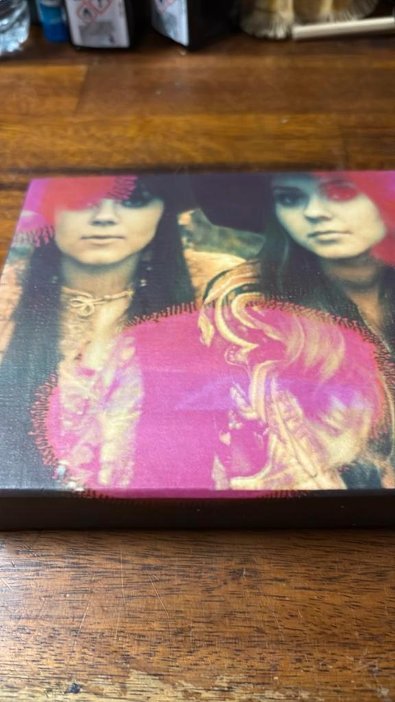 First Aid Kit the Lion’s roar deluxe cd dvd poster plectrum, Cd's en Dvd's, Cd's | Pop, Zo goed als nieuw, 2000 tot heden, Ophalen of Verzenden