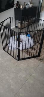 Honden/ Puppy ren voor binnen en buiten., Dieren en Toebehoren, Ophalen, Nieuw