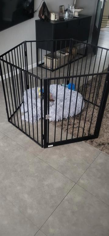 Honden/ Puppy ren voor binnen en buiten. beschikbaar voor biedingen