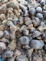 Paardenmest op vlas - Ideale Tuinbemesting, Tuin en Terras, Ophalen of Verzenden, Mest