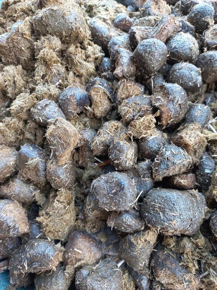 Paardenmest op vlas - Ideale Tuinbemesting, Tuin en Terras, Aarde en Mest, Mest, Ophalen of Verzenden