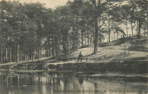 (388-318-005) Driebergen-Rijsenburg Vijver in t Bosch, Verzamelen, Ansichtkaarten | Nederland, Utrecht, Verzenden