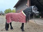 Velvet met bont gevoerde deken, Ophalen of Verzenden, Zo goed als nieuw