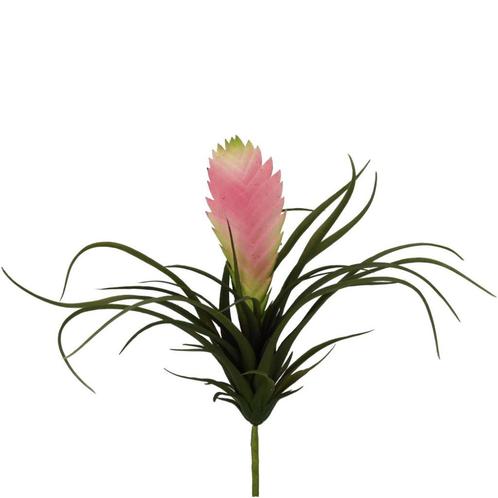 PRACHTIGE KUNST TILLANDSIA AUDREY, Huis en Inrichting, Woonaccessoires | Kunstplanten en Kunstbloemen, Nieuw, Ophalen of Verzenden