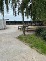 Pension stalling aan het bos gelegen, Stalling