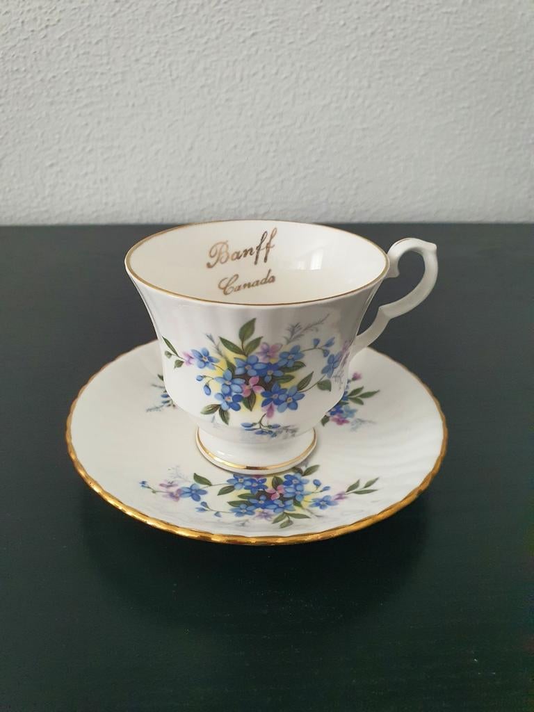 Royal Windsor kop en schotel Banff Canada
Fine Bone China, Verzamelen, Porselein, Kristal en Bestek, Ophalen of Verzenden, Zo goed als nieuw