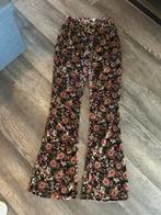 Colourful Rebel flared pants flower velvet, maat S, Ophalen of Verzenden, Nieuw, Maat 36 (S), Lang