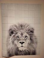 IXXI poster leeuw. 160x120cm, Huis en Inrichting, Woonaccessoires | Schilderijen, Tekeningen en Foto's, Foto of Poster, Ophalen of Verzenden