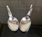 Amuse lepels, Ophalen of Verzenden, Zo goed als nieuw, Rvs