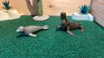 Schleich zeehond/rob, Ophalen of Verzenden, Zo goed als nieuw, Paard, Beeldje of Figuurtje