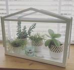 Kweekkas Socker Ikea wit, Tuin en Terras, Kweekspullen, Ophalen, Gebruikt, Kweekkast