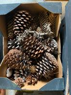 Dennenappels - Groot & Klein, Tuin en Terras, Tuinbeelden, Ophalen of Verzenden, Gebruikt, Hout, Overige typen