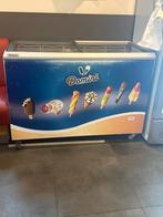 Vrieskist - ijsvriezer., Witgoed en Apparatuur, Vriezers en Diepvrieskisten, Ophalen, 85 tot 120 cm