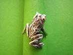 Mooie Zilveren Ring - Grote Kikker, Verzenden, Zilver, Ring