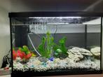 Aquarium( 45x30x60) H x L x W, Ophalen of Verzenden, Leeg aquarium