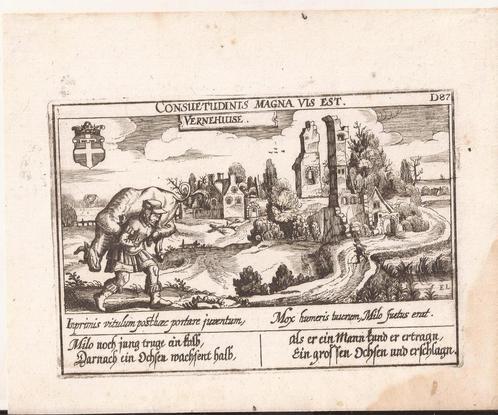 Ruïne Vernehuizen bij Lienden. Vernehuise Meisner Kopergravu, Antiek en Kunst, Kunst | Etsen en Gravures, Ophalen of Verzenden