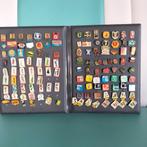 Veel Oude Speldjes in Album, Verzamelen, Speldjes, Pins en Buttons, Ophalen of Verzenden, Gebruikt, Overige onderwerpen
