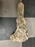 Drijfhout puur natuur, echte kunst, Ophalen of Verzenden