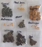 Surinaamse groentezaden, Ophalen of Verzenden, Volle zon