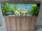 Wie biedt? Op een zeer mooi aquarium. 450 liter Juwel Rio!, Ophalen of Verzenden, Gebruikt, Gevuld zoetwateraquarium