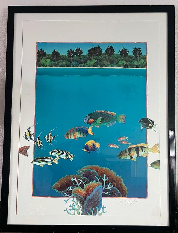 Joanne Hook Litho/Zeefdruk/Great BarrierReef signatuur orign, Antiek en Kunst, Kunst | Litho's en Zeefdrukken, Ophalen
