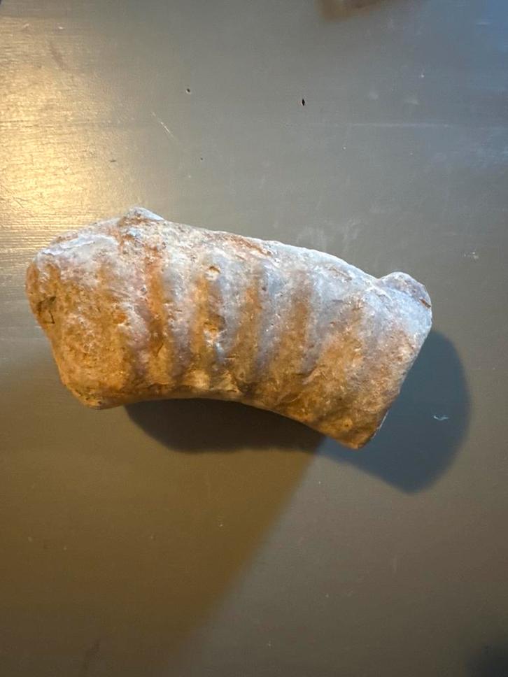 Fossiele Ammoniet, Verzamelen, Mineralen en Fossielen, Fossiel, Ophalen of Verzenden