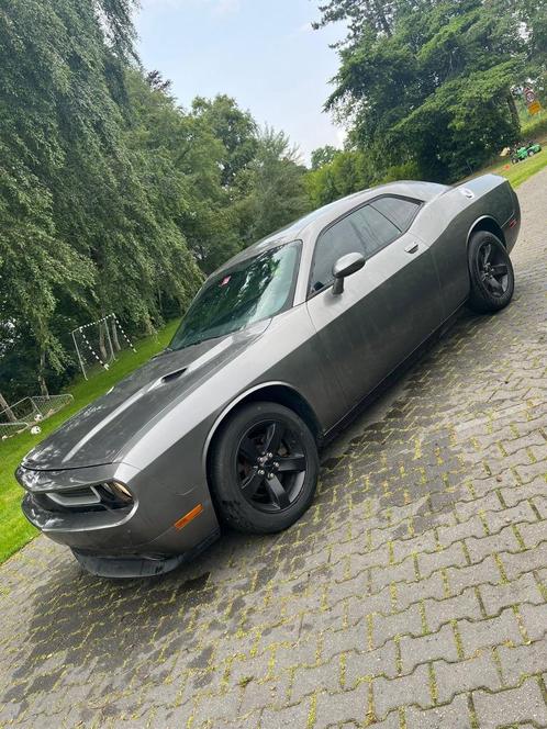 Dodge Challenger 3.6l VVT, Auto's, Dodge, Particulier, Challenger, Achteruitrijcamera, Airbags, Airconditioning, Alarm, Android Auto