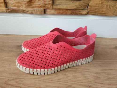 Ilse Jacobsen Tulip instappers maat 39 rose schoenen, Kleding | Dames, Schoenen, Zo goed als nieuw, Instappers, Roze, Ophalen of Verzenden