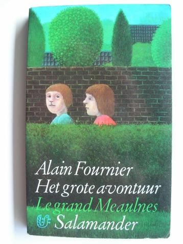 Alain-Fournier Het grote avontuur (le grand meaulnes) beschikbaar voor biedingen
