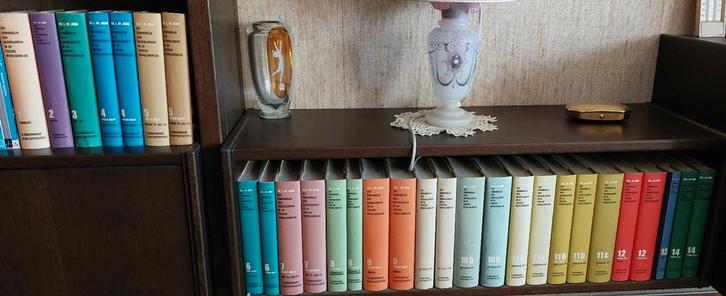 Volledige 29-delige serie dr. L. de Jong 2e WO, Boeken, Partijen en Verzamelingen, Zo goed als nieuw, Geschiedenis en Politiek