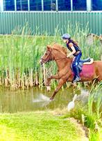 bijrijder aangeboden / bijrijpaard gezocht