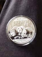 1 oz 10 yuan panda 2013, Ophalen of Verzenden, Zilver