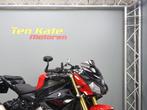 BMW S 1000 R, Bedrijf, Naked bike