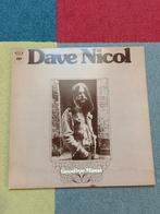 Dave Nicol lp vinyl, Ophalen of Verzenden, Gebruikt, 12 inch, Overige genres