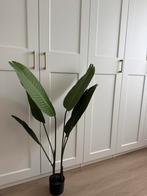Strelitzia kunstplant, Kwantum, Huis en Inrichting, Woonaccessoires | Kunstplanten en Kunstbloemen, Ophalen, Nieuw