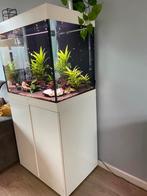 Aquarium Juwel Lido 200, Dieren en Toebehoren, Vissen | Aquaria en Toebehoren, Ophalen, Zo goed als nieuw, Gevuld zoetwateraquarium