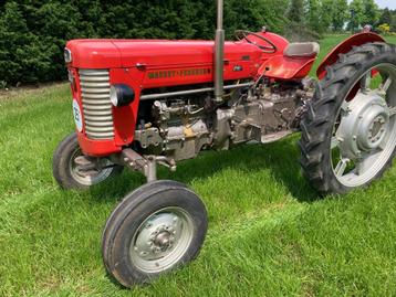 Mooie Massey Ferguson 65 MK1, geheel gerestaureerd, oldtimer beschikbaar voor biedingen