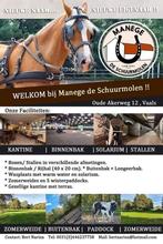 Pensionstal op een mooie lokatie in Zuid-Limburg, Dieren en Toebehoren, Weidegang, 4 paarden of pony's of meer