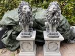 Leeuwen op Sokkel 95cm hoog, Ophalen, Nieuw, Beton, Dierenbeeld