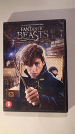 Fantastic Beasts, Cd's en Dvd's, Vanaf 9 jaar, Ophalen of Verzenden, Zo goed als nieuw, Fantasy