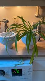 2 Sjieke AZA Bloempotten - Duits Design, Ophalen of Verzenden, Zo goed als nieuw, Overige materialen