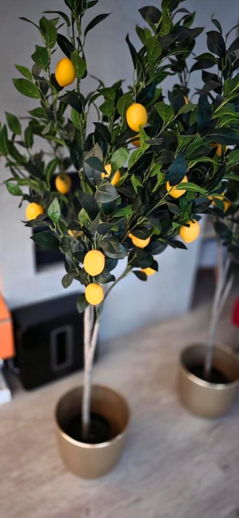 Kunstplant Citroen - Zonder/Met Gouden Vaas, Huis en Inrichting, Woonaccessoires | Kunstplanten en Kunstbloemen, Nieuw, Binnen